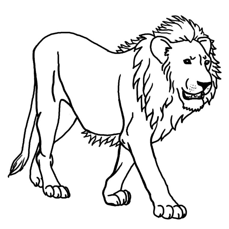 Coloriage À Imprimer Lion | My Blog destiné Coloriage Lionne