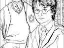 Coloriage À Imprimer : Personnages Célèbres - Harry Potter avec Coloriage Harry Potter