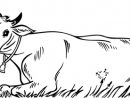 Coloriage À Imprimer,Une Vache Allongée - Turbulus, Jeux intérieur Dessin D Une Vache