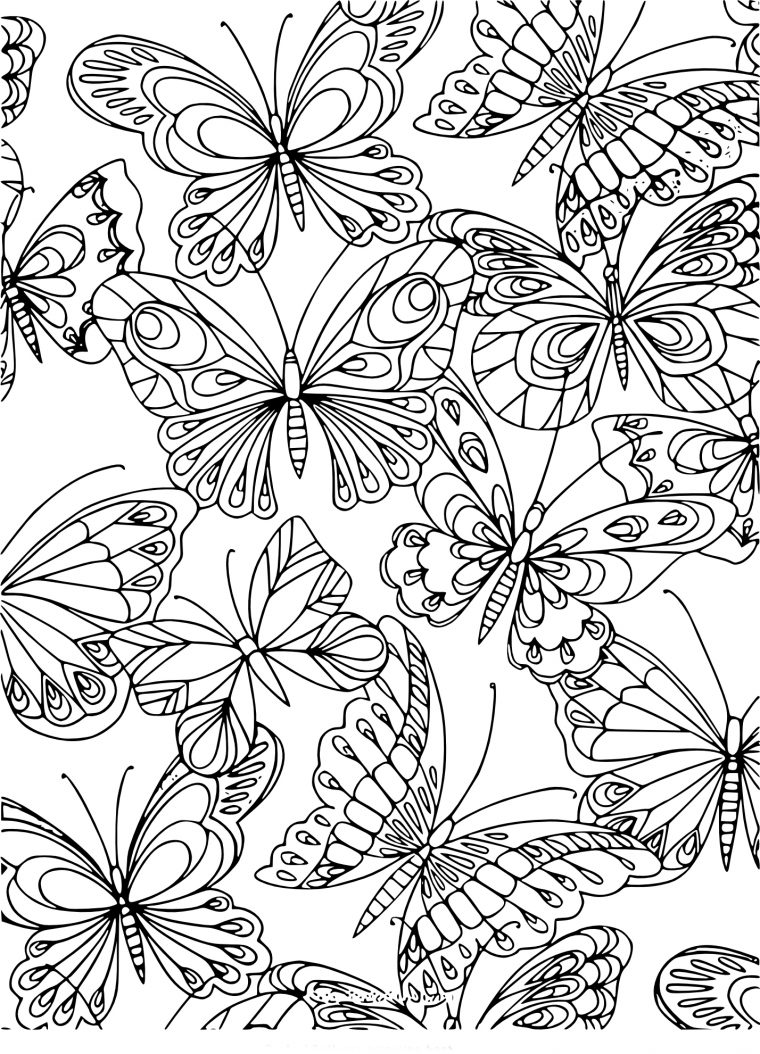 Coloriage Adulte Papillon À Imprimer encequiconcerne Coloriage Adulte
