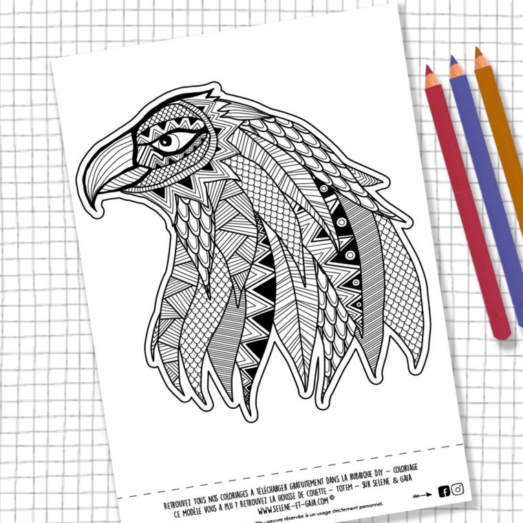 Coloriage Aigle Mandala – Ohbq tout Coloriage Aigle A Imprimer Gratuit