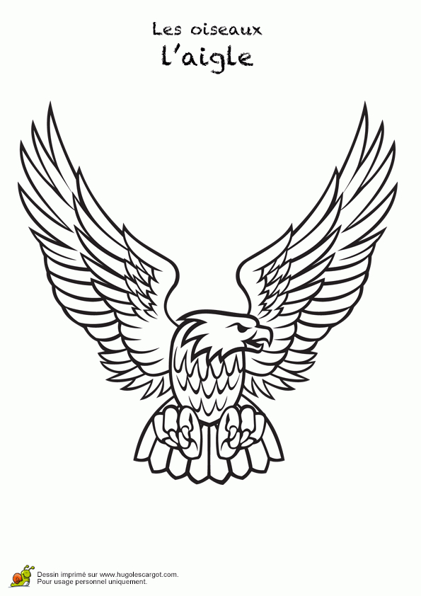 Coloriage Aigle A Imprimer Gratuit