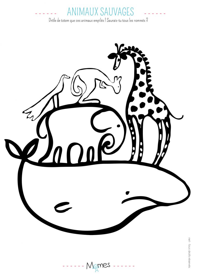 Coloriage Animaux Sauvage – Momes tout Coloriage À Peindre À Imprimer Coloriage Animaux Sauvage – Momes tout Coloriage À Peindre À Imprimer