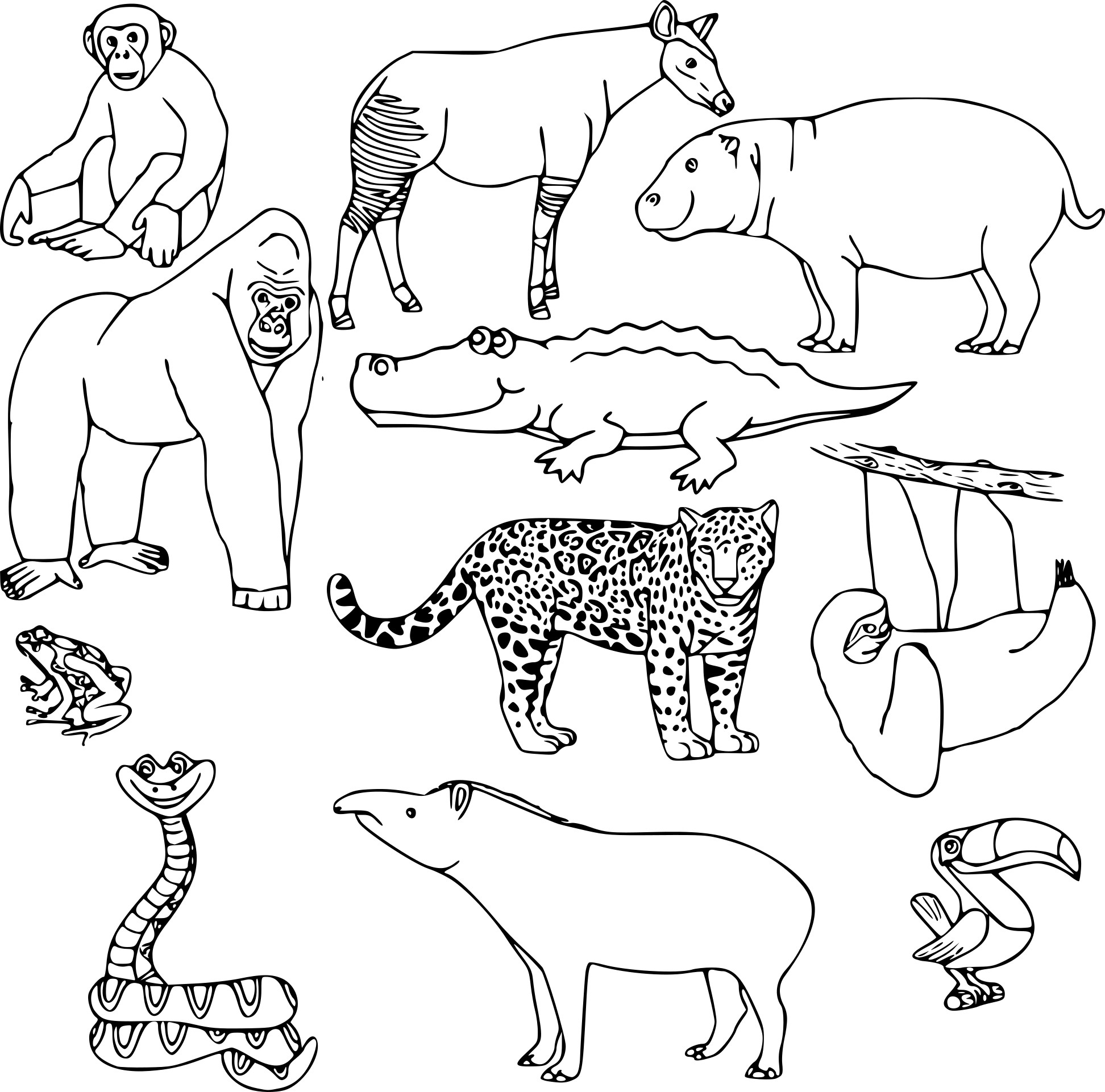 Coloriage Animaux Sauvages À Imprimer intérieur Coloriage Animaux