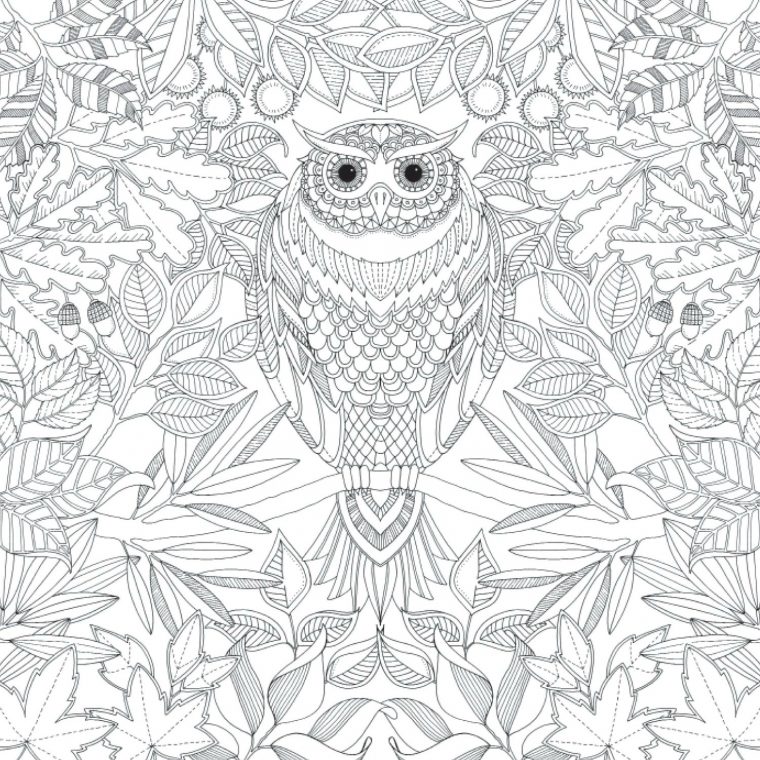 Coloriage Anti-Stress Pour Adulte À Télécharger Gratuitement destiné Coloriage Herisson A Imprimer Gratuit
