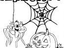 Coloriage Araignée Halloween À Imprimer concernant Coloriages Halloween À Imprimer Gratuitement