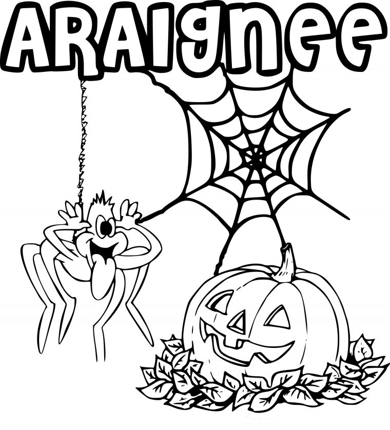 Coloriage Araignée Halloween À Imprimer concernant Coloriages Halloween À Imprimer Gratuitement