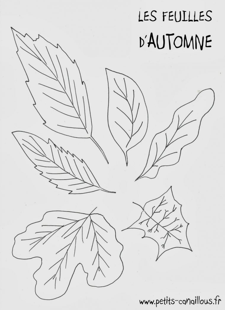 Coloriage Automne A Imprimer Gratuit | Liberate concernant Feuille De Coloriage À Imprimer