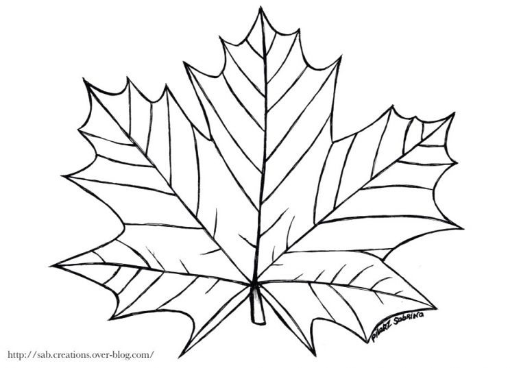 Coloriage Automne Arbe Feuille D Automne Dessin Apsip Com tout Feuille D Automne Coloriage