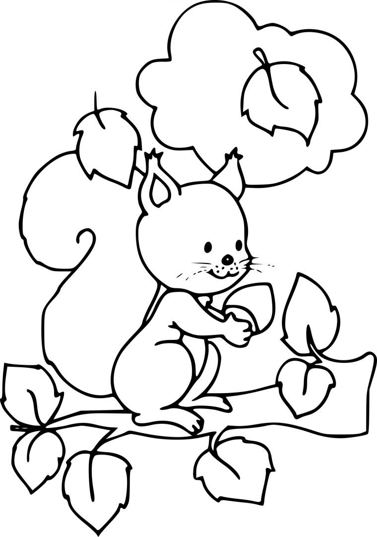 Coloriage Automne Ecureuil À Imprimer concernant Coloriage Ecureuil A Imprimer Gratuit