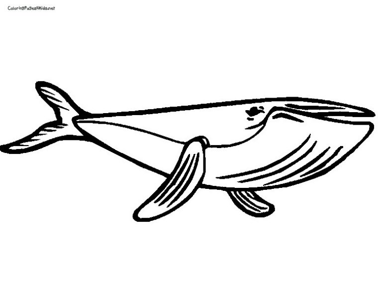 Coloriage Baleine À Imprimer Pour Les Enfants – Cp02701 destiné Coloriage Baleine A Imprimer Gratuit