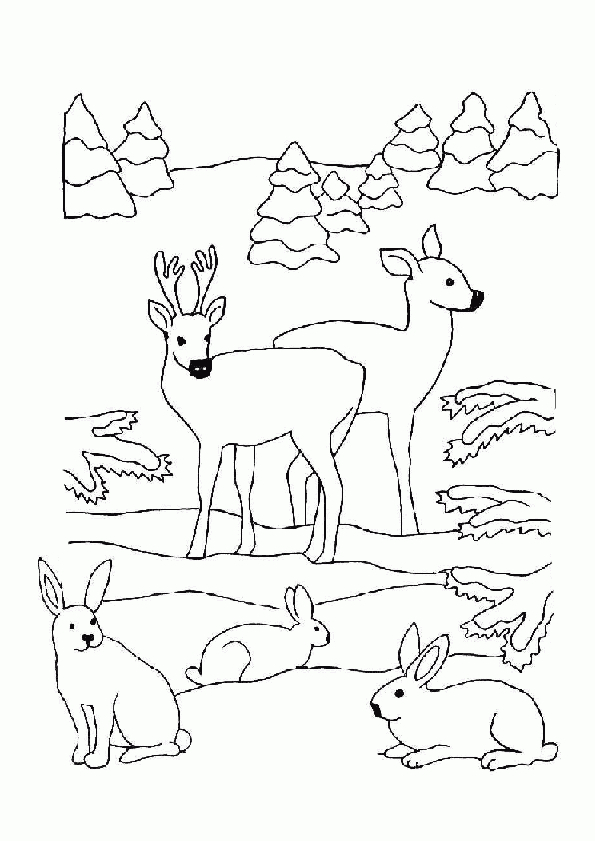 Coloriage Biches Lapins Noel Coloriage Sur Hugolescargot avec Dessin Forêt À Imprimer