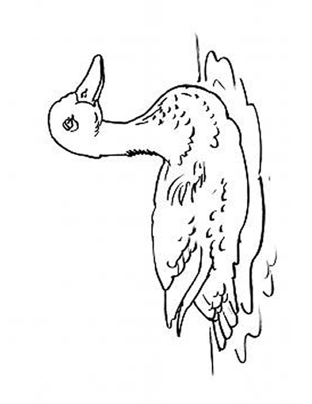 Coloriage Canard À Imprimer Gratuitement à Coloriage De Perroquet A Imprimer Gratuit