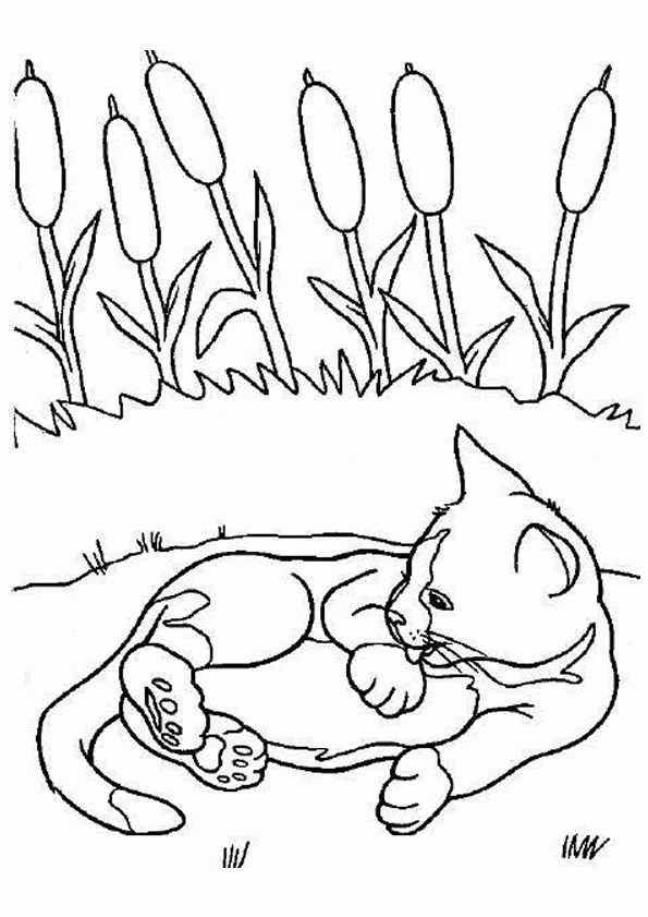 Coloriage Chat Jardin Sur Hugolescargot serapportantà Image De Chat A Imprimer