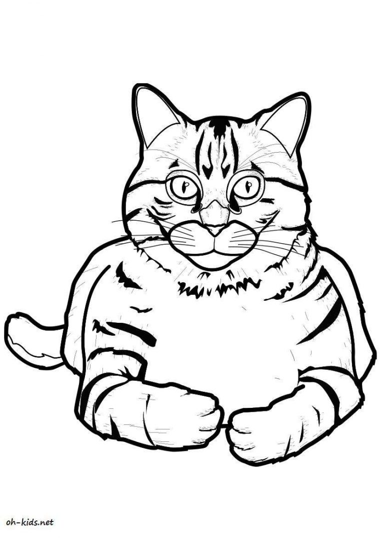 Coloriage Chat – Page 6 Of 8 – Oh Kids Fr tout Image De Chat A Imprimer