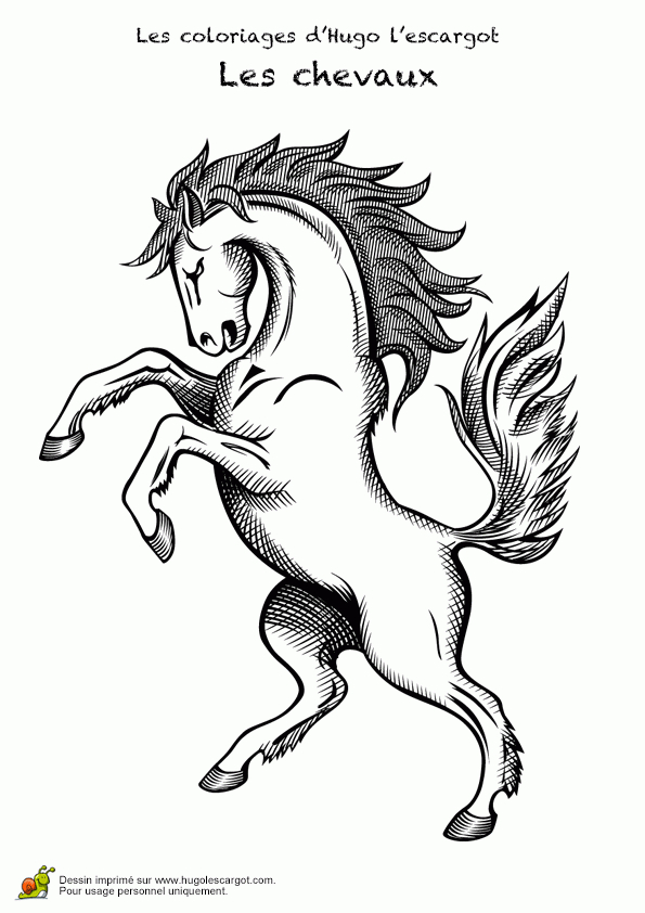 Coloriage Chevaux Realistes 24 Sur Hugolescargot pour Dessin À Imprimer De Chevaux Coloriage Chevaux Realistes 24 Sur Hugolescargot pour Dessin À Imprimer De Chevaux