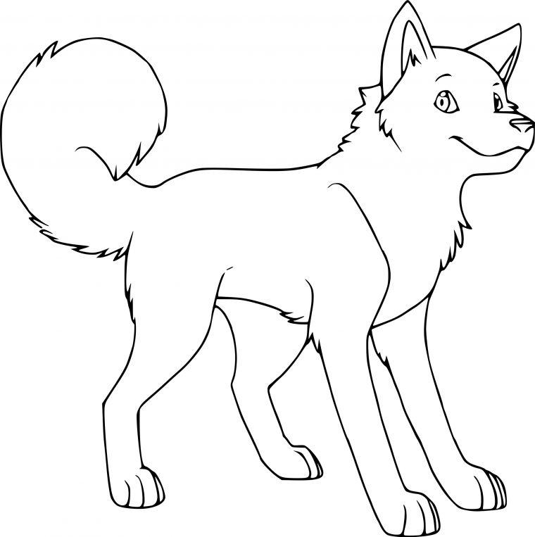 Coloriage Chien Husky À Imprimer Et Colorier encequiconcerne Coloriage Animaux
