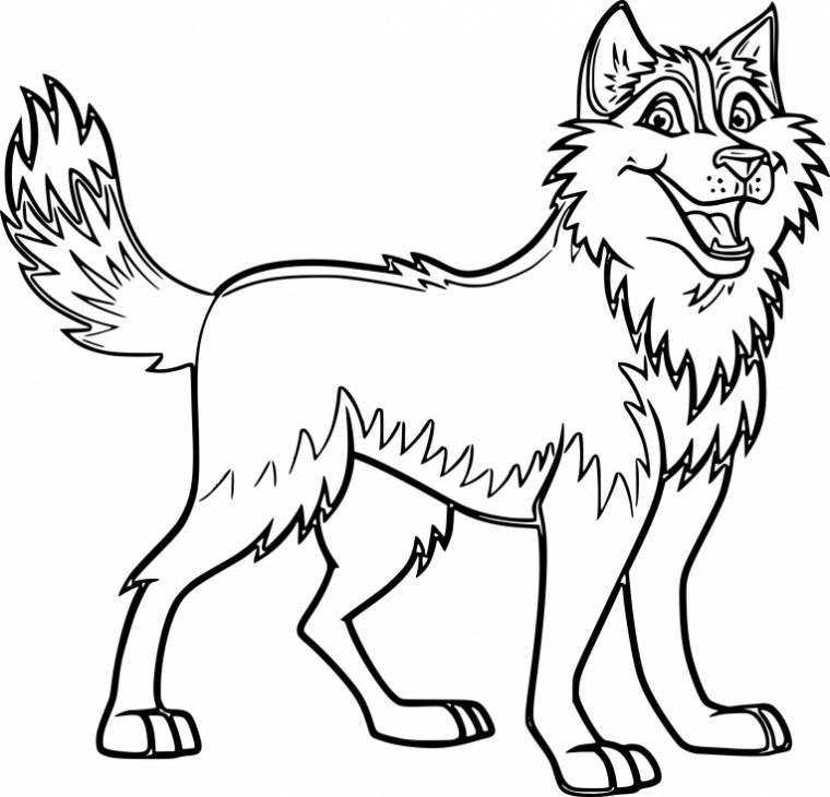 Coloriage Chien Husky À Imprimer Sur Coloriages à Coloriage Chien