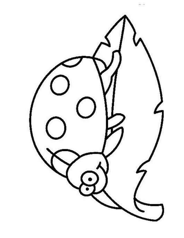 Coloriage Coccinelle À Imprimer Gratuitement serapportantà Coccinelle À Colorier