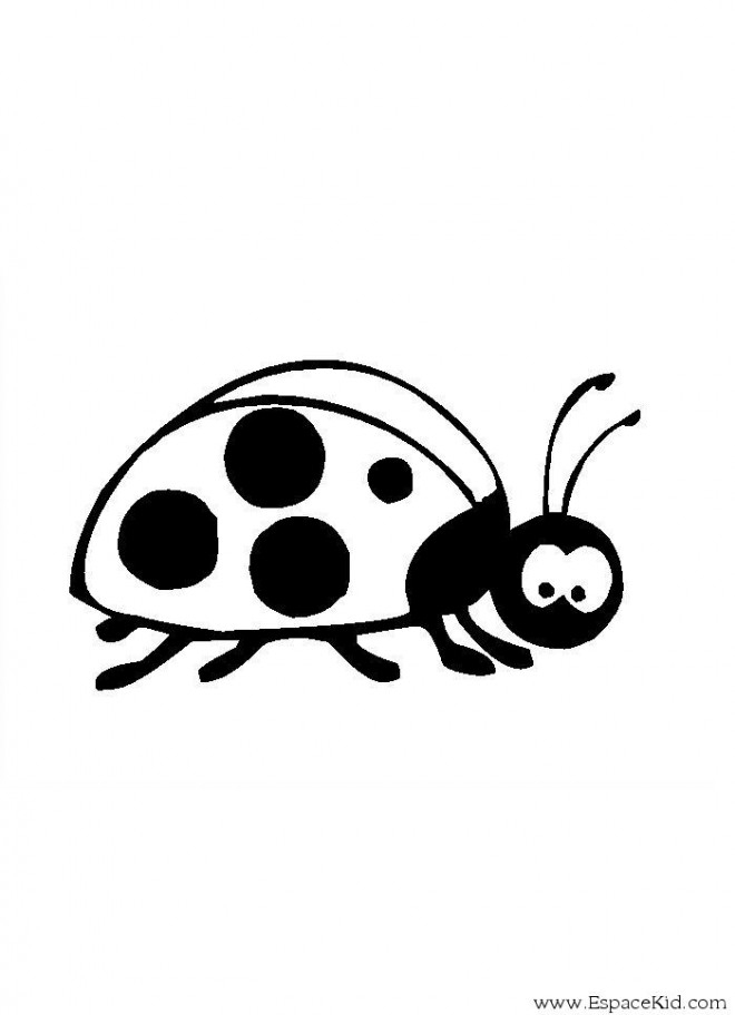 Coloriage Coccinelle En Noir Dessin Gratuit À Imprimer destiné Coccinelle À Colorier
