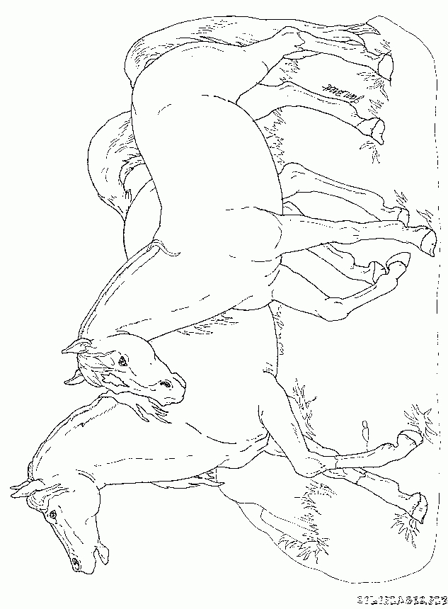 Coloriage Coloriage Cheval Et Poulain Gratuit – Animaux concernant Photo De Chevaux A Imprimer