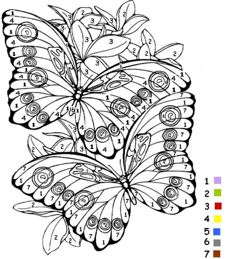 Coloriage Coloriage Magique Papillon | Coloriage Papillon destiné Coloriage Adultes À Imprimer