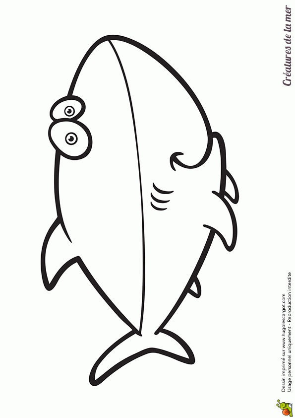Coloriage Creatures De La Mer Le Requin | Coloriage serapportantà Coloriage Animaux De La Mer A Imprimer