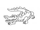 Coloriage Crocodile Du Nil avec Coloriage Crocodile A Imprimer Gratuit