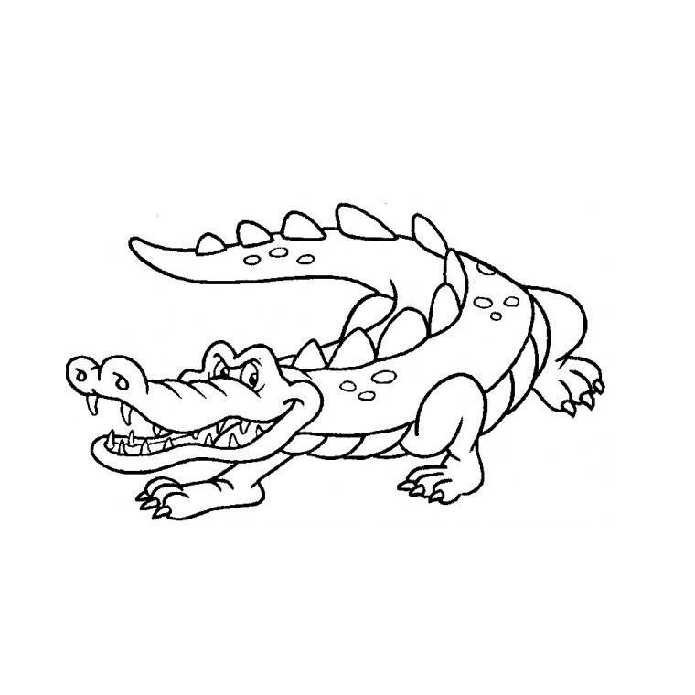 Coloriage Crocodile Du Nil avec Coloriage Crocodile A Imprimer Gratuit