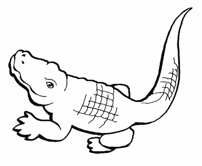 Coloriage Crocodile Facile dedans Coloriage Crocodile A Imprimer Gratuit