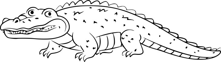 Coloriage Crocodile Les Pitous À Imprimer concernant Coloriage Crocodile A Imprimer Gratuit