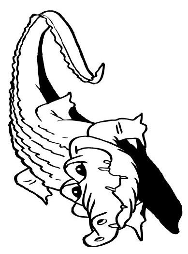 Coloriage Crocodile serapportantà Crocodile À Colorier Coloriage Crocodile serapportantà Crocodile À Colorier