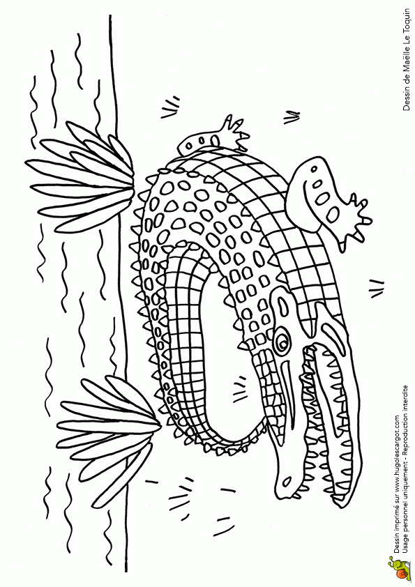 Coloriage Crocodile Sur Hugolescargot – Hugolescargot avec Coloriage A L Eau