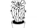 Coloriage De Cactus Avec Fleur Pour Colorier - Coloritou avec Coloriage Cactus A Imprimer