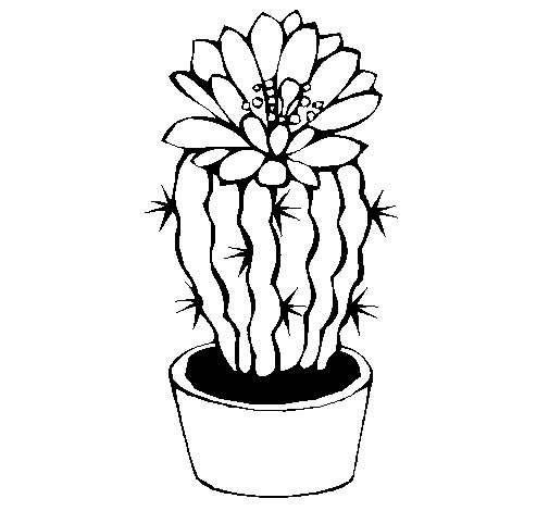 Coloriage De Cactus Avec Fleur Pour Colorier – Coloritou avec Coloriage Cactus A Imprimer