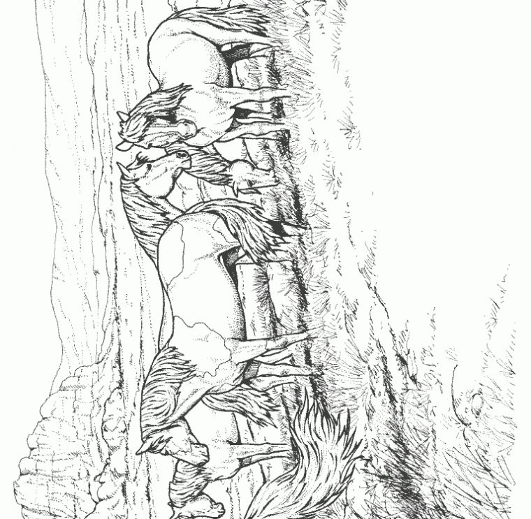 Coloriage De Chevaux À Imprimer intérieur Photo De Chevaux A Imprimer