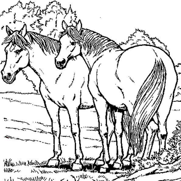 Coloriage De Chevaux En Ligne Gratuit À Imprimer pour Dessin De Cheval Au Galop Gratuit