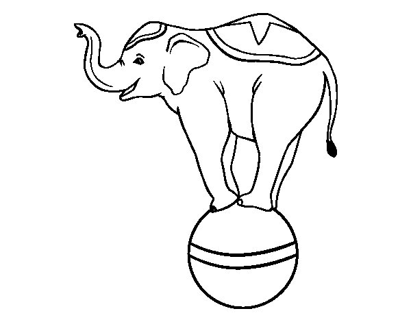Coloriage De Éléphant Équilibriste Pour Colorier tout Dessin Animaux Elephant De Cirque
