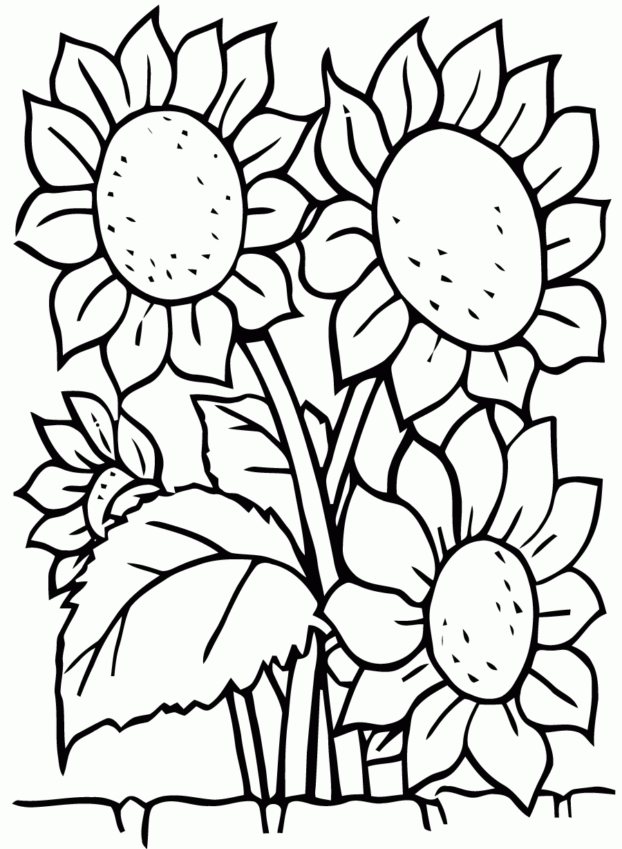 Coloriage De Fleurs À Telecharger Gratuitement - Coloriage dedans Coloriage Fleur