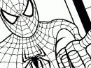 Coloriage De Spiderman A Imprimer Gratuit | Coloriage En Ligne serapportantà Coloriage En Ligne Hulk