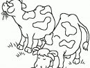 Coloriage De Vaches - Coloriages D'Animaux À Imprimer à Coloriage D Animaux De Vache
