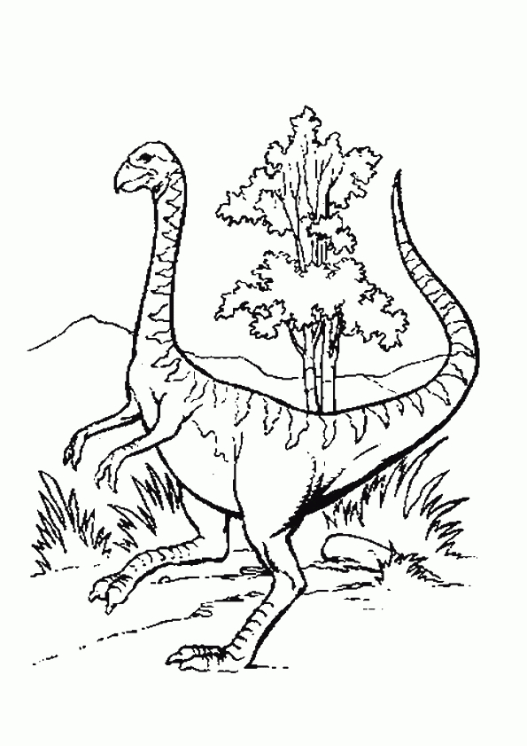 Coloriage Dinosaure De La Jungle avec Coloriage Dinosaure