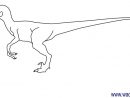 Coloriage Dinosaure Velociraptor À Imprimer Et Colorier destiné Comment Dessiner Un Dinosaure