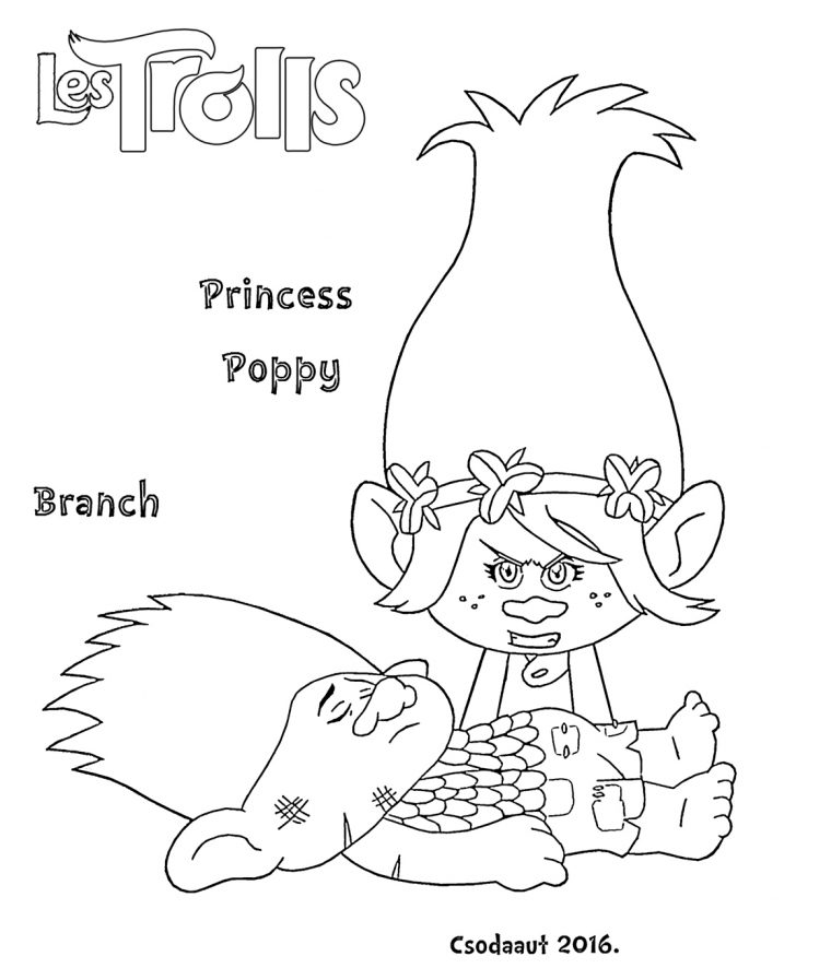 Coloriage Du Film Trolls : Princesse Poppy Au Chevet De Branch tout Dessin De Troll