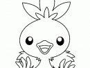 Coloriage Du Mignon Petit Pokémon Poussifeu … | Coloriage concernant Dessin A Imprimer Pok?Mon Lougaroc Diurne