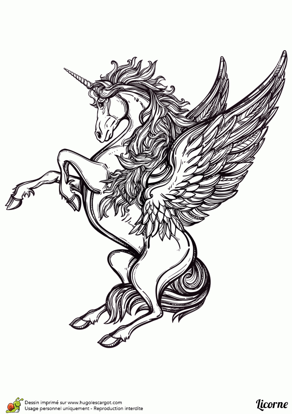 Coloriage D’une Image Affichant Une Superbe Licorne intérieur Dessin A Imprimer Licorne Coloriage D’une Image Affichant Une Superbe Licorne intérieur Dessin A Imprimer Licorne