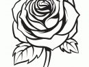 Coloriage D’une Rose Gracieuse Pour La Saint Valentin pour Dessin De Rose A Imprimer
