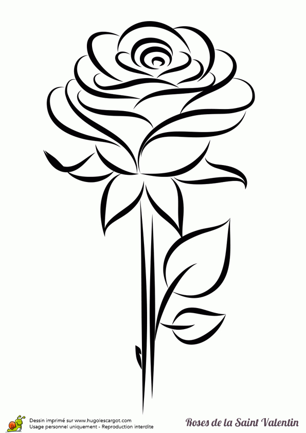 Coloriage D’une Rose Sublime, Un Cadeau Touchant Pour La avec Dessin De Rose A Imprimer