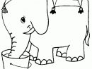 Coloriage Elephant Boit Dans Le Sceau Gratuit - Animaux encequiconcerne Dessin Animaux Elephant De Cirque