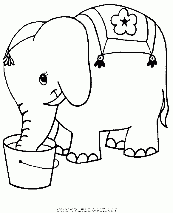 Coloriage Elephant Boit Dans Le Sceau Gratuit – Animaux encequiconcerne Dessin Animaux Elephant De Cirque